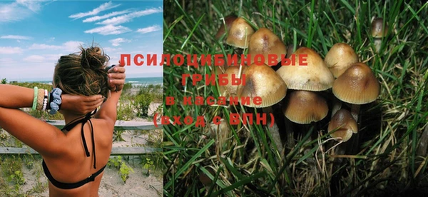 ГАЛЛЮЦИНОГЕННЫЕ ГРИБЫ Абдулино